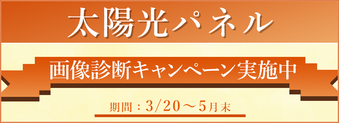 ご新規様限定 トライアルキャンペーン実施中
